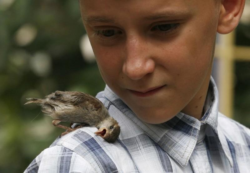 boy-and-a-sparrow-are-best-friends-1