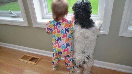 friendship-between-children-and-animals-1