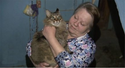 homeless-cat-saved-a-newborn-baby-from-death-3