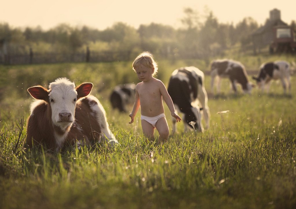 Photographs-of-countryside-children-and-animals-3