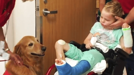 this-boy-suffered-a-head-injury-he-had-virtually-no-chance-of-recovery-until-he-met-this-dog