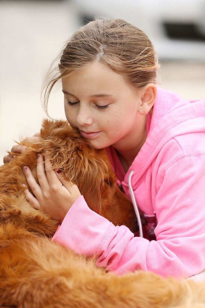 Dog-surfs-with-sick-people-and-helps-them-17