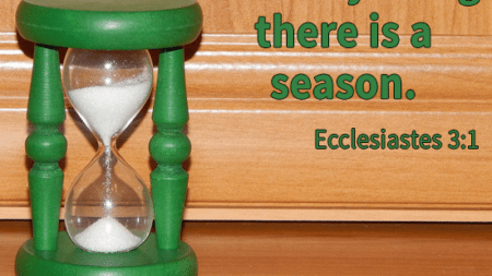 every-thing-season