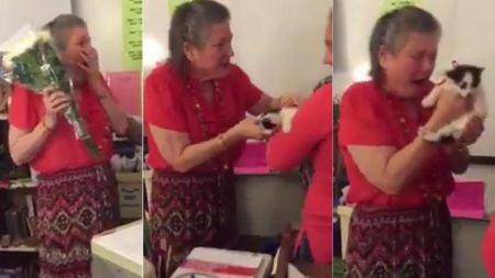 teacher-recently-lost-cat-receives-touching-surprise-students
