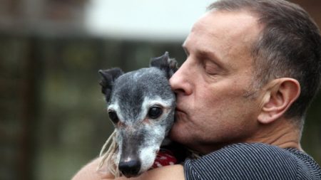 man-goes-beach-dog-dying-last-time-happens-incredibly-touching