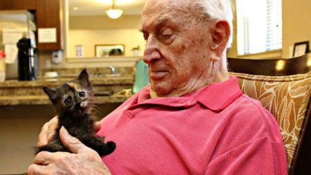 elderly-people-alzheimers-disease-care-newborn-kittens-unusual-project-arizona-3