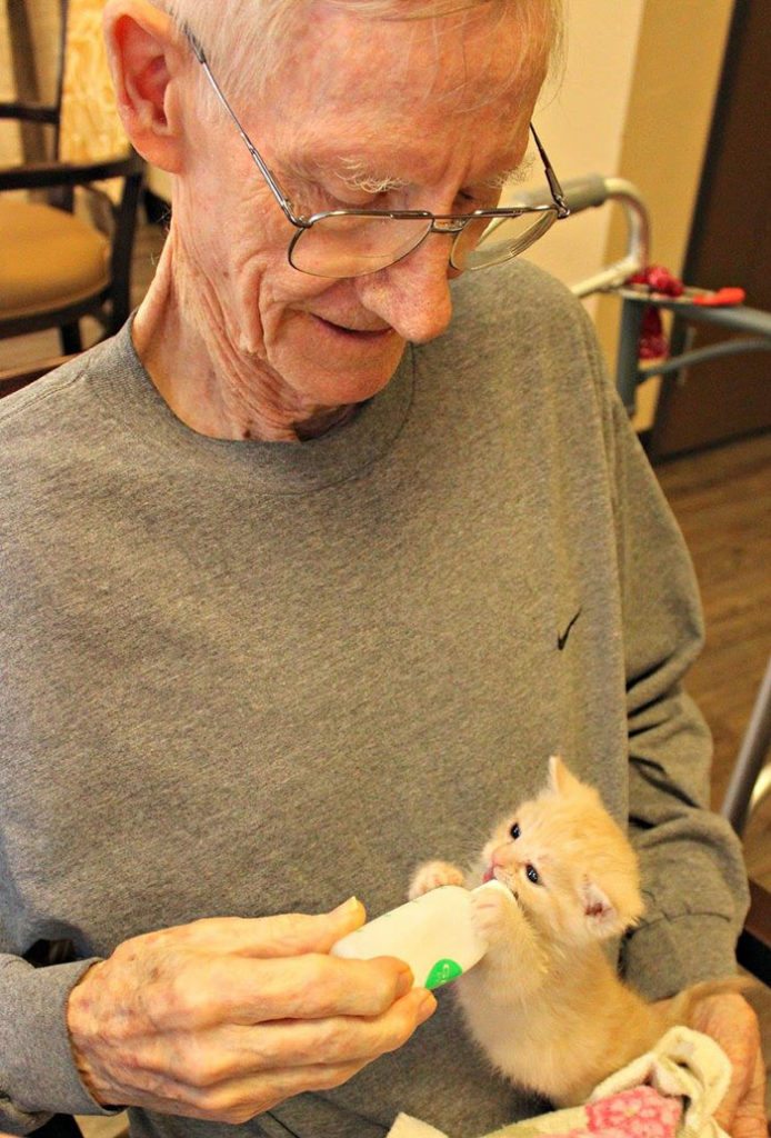 elderly-people-alzheimers-disease-care-newborn-kittens-unusual-project-arizona-4