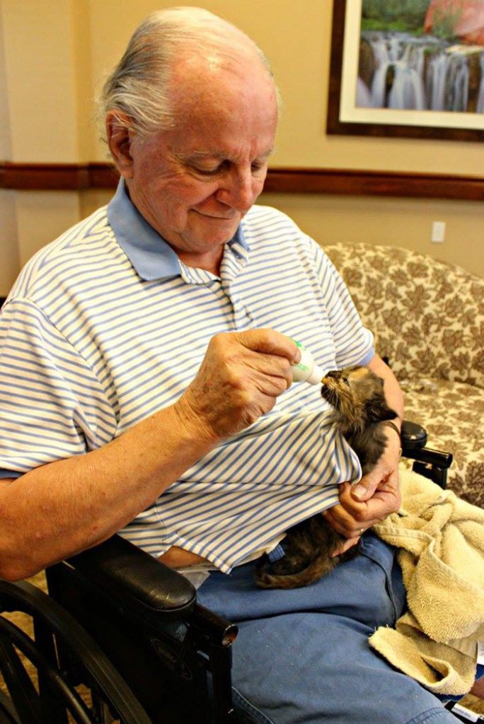 elderly-people-alzheimers-disease-care-newborn-kittens-unusual-project-arizona-6