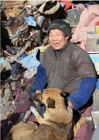 Man spends £12,480 to become a dog - and practices rolling, sitting and paw  - Mirror Online