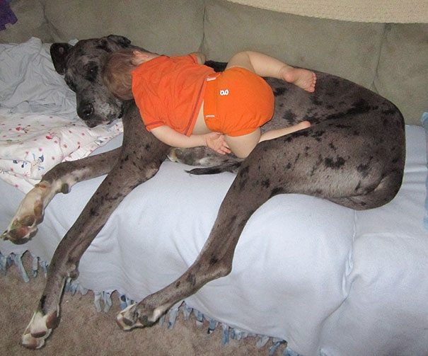photos-proving-children-able-fall-asleep-unusual-places-5